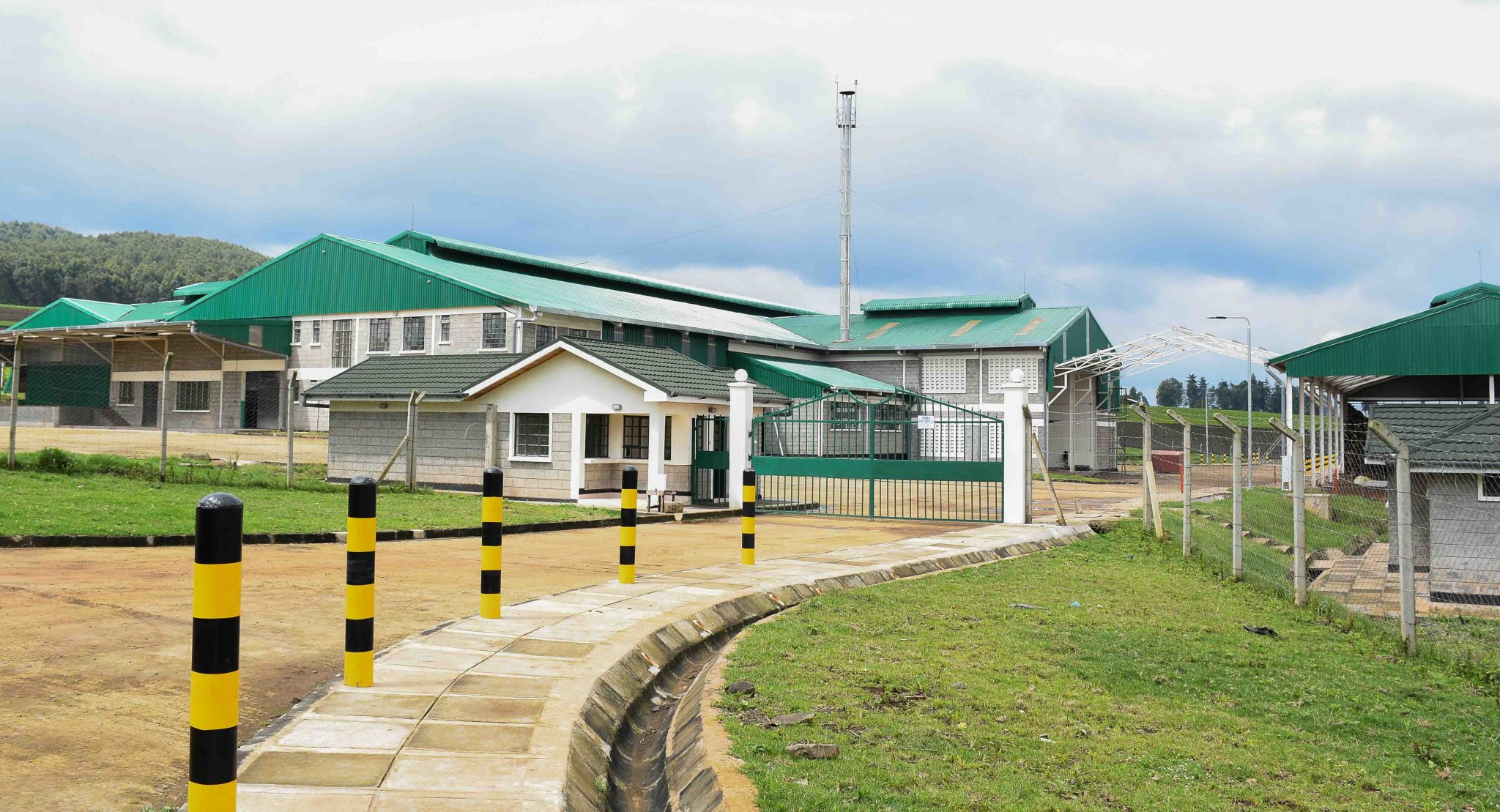 tea maner factory